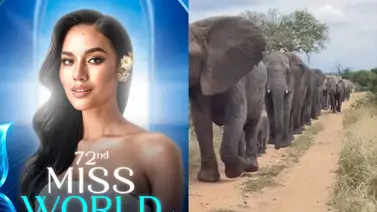 ¿Volverá Miss Mundo 2026 a África después de 17 años? Esto se conoce ¿Volverá Miss Mundo 2026 a África después de 17 años? Esto se conoce