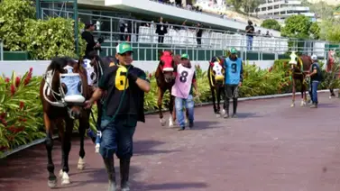 Hermana completa de la potra Pastoreña es retirada de la primera válida del 5y6 dominical Hermana completa de la potra Pastoreña es retirada de la primera válida del 5y6 dominical