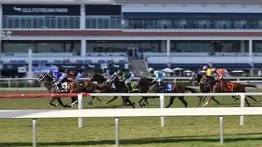 Por esta razón no se correrá sobre grama en Gulfstream Park