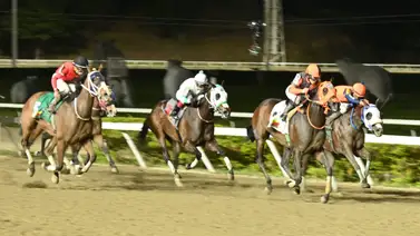 ¿Buscas el ganador de la tercera válida? Este es el ajuste de lujo que pone a temblar la R01 nocturna ¿Buscas el ganador de la tercera válida? Este es el ajuste de lujo que pone a temblar la R01 nocturna