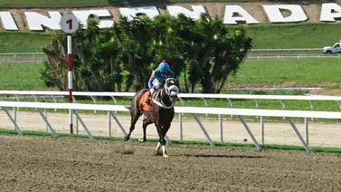 ¡No le busques cuatro patas al gato! Esta yegua ajustó extraordinaria para su tercera victoria en fila el domingo en La Rinconada ¡No le busques cuatro patas al gato! Esta yegua ajustó extraordinaria para su tercera victoria en fila el domingo en La Rinconada