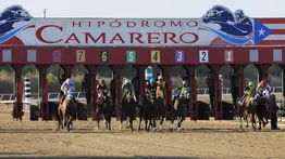 ¡Atención Puerto Rico! Busca el Poolpote de $595.000 con nuestro cuadro para Camarero