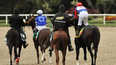 ¿Por qué este ejemplar no estará en acción en la tercera válida? La verdadera razón tras el retiro que sacude el 5y6 dominical ¿Por qué este ejemplar no estará en acción en la tercera válida? La verdadera razón tras el retiro que sacude el 5y6 dominical