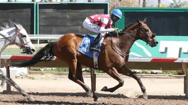 Surprsinglyperfect: El adiós de un guerrero que desafió al tiempo con 101 carreras Surprsinglyperfect: El adiós de un guerrero que desafió al tiempo con 101 carreras