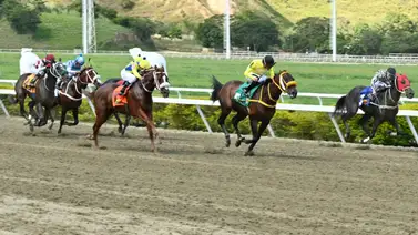 No selles tu 5y6 sin leer esto: Con el ajuste de una sorpresa de Gaceta Hípica queda lista para la carrera de los acumulados de la R02 No selles tu 5y6 sin leer esto: Con el ajuste de una sorpresa de Gaceta Hípica queda lista para la carrera de los acumulados de la R02