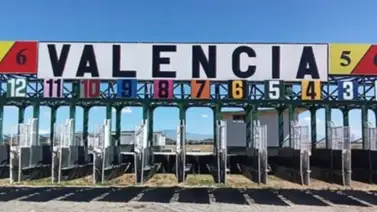 Datos de última hora para el Hipódromo Nacional de Valencia 17-1-2026 Datos de última hora para el Hipódromo Nacional de Valencia 17-1-2026