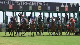 Pronósticos Gulfstream Park: picks gratis y el dato clave para el viernes 16 de enero