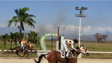 Primeras carreras: El Hipódromo Nacional de Valencia abre su temporada 2026 este sábado Primeras carreras: El Hipódromo Nacional de Valencia abre su temporada 2026 este sábado
