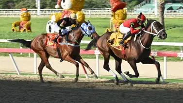 Antes de sellar tu cuadro: Mira cómo se vio en el ajuste de la línea de Gaceta Hípica el domingo en la R02 Antes de sellar tu cuadro: Mira cómo se vio en el ajuste de la línea de Gaceta Hípica el domingo en la R02