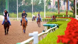 Los mejores ejercicios para las selectivas de este sábado en Gulfstream Park