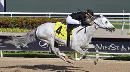 Edgar Pérez gana en Gulfstream Park y los apostadores quedaron sorprendidos