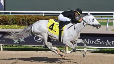 Edgar Pérez gana en Gulfstream Park y los apostadores quedaron sorprendidos Edgar Pérez gana en Gulfstream Park y los apostadores quedaron sorprendidos
