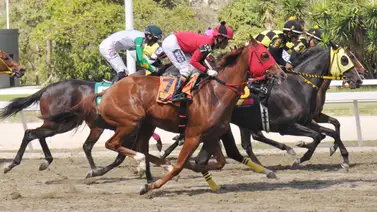Urgente: Confirmados dos retiros clave para el 5y6 del domingo en La Rinconada Urgente: Confirmados dos retiros clave para el 5y6 del domingo en La Rinconada