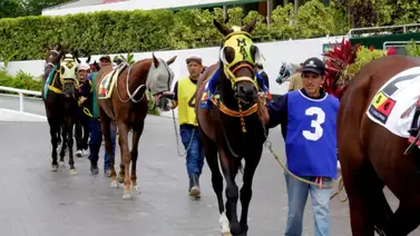 Estos son los retirados de la Reunión N°02 en La Rinconada 18-1-2026 Estos son los retirados de la Reunión N°02 en La Rinconada 18-1-2026