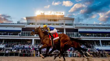 Pegasus World Cup 2026: Así quedó el mapa de salida para la gran cita en Florida Pegasus World Cup 2026: Así quedó el mapa de salida para la gran cita en Florida