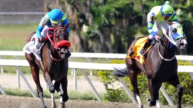 Así quedaron los resultados de las carreras de La Rinconada 18-01-2026 Así quedaron los resultados de las carreras de La Rinconada 18-01-2026