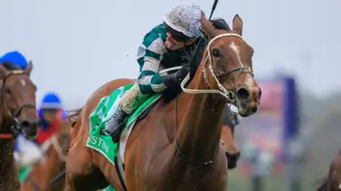 Vía Sistina: La campeona australiana ha sido retirada de las pistas Vía Sistina: La campeona australiana ha sido retirada de las pistas