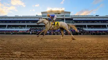 Gulfstream Park: Este sábado es la fiesta de la Pegasus World Cup con ocho Stakes en 13 carreras Gulfstream Park: Este sábado es la fiesta de la Pegasus World Cup con ocho Stakes en 13 carreras