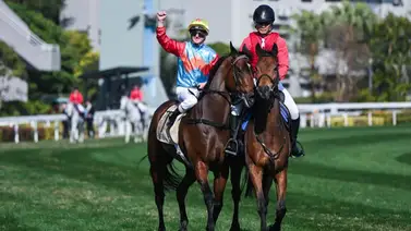 Hong Kong: Ka Ying Rising coronado Caballo del Año en los Premios Timeform Hong Kong: Ka Ying Rising coronado Caballo del Año en los Premios Timeform