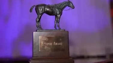 Acá te lo decimos: ¿Cuándo, a qué hora y por dónde serán anunciados los ganadores a los Premios Eclipse Awards 2025? Acá te lo decimos: ¿Cuándo, a qué hora y por dónde serán anunciados los ganadores a los Premios Eclipse Awards 2025?