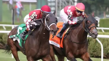 La finalista al premio Eclipse: Nitrogen inicia su preparación luego de ganar cinco stakes de grado en 2025 La finalista al premio Eclipse: Nitrogen inicia su preparación luego de ganar cinco stakes de grado en 2025