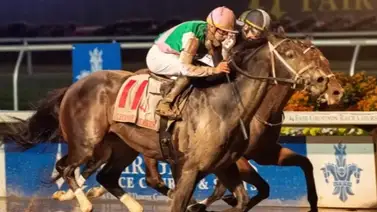 ¡Se juega el invicto! Disco Time, el primer favorito de la Pegasus World Cup Invitational (G1) ejercitó fenomenal ¡Se juega el invicto! Disco Time, el primer favorito de la Pegasus World Cup Invitational (G1) ejercitó fenomenal