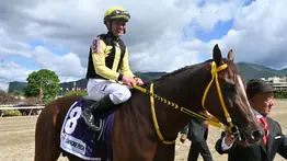 Javier Castellano con agenda llena el sábado en Gulfstream Park para la Pegasus World Cup