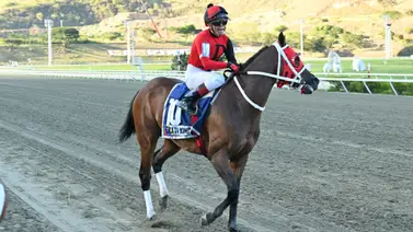 Poderío importado: Ekati King surge como el gran muro a batir en la Condicional Especial dominical Poderío importado: Ekati King surge como el gran muro a batir en la Condicional Especial dominical