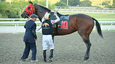 Vuelve el favorito: ¿Podrá repetir su triunfo arrollador luego de tres meses de inactividad en La Rinconada? Vuelve el favorito: ¿Podrá repetir su triunfo arrollador luego de tres meses de inactividad en La Rinconada?