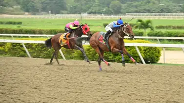 ¡Que la agarren abajo!: La velocidad de esta yegua la convierte en la rival a vencer en su regreso a La Rinconada ¡Que la agarren abajo!: La velocidad de esta yegua la convierte en la rival a vencer en su regreso a La Rinconada