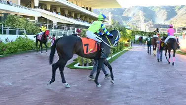 El padre de Banderas y Kate And Me tiene un nuevo hijo que esta listo para debutar el domingo en La Rinconada El padre de Banderas y Kate And Me tiene un nuevo hijo que esta listo para debutar el domingo en La Rinconada