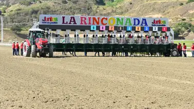 Rostros familiares engalanan la programación hípica de este fin de semana Rostros familiares engalanan la programación hípica de este fin de semana