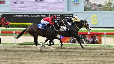 ¡Que no se te pase!: El batacazo del 5y6 dominical que reaparece tras 217 días con la victoria entre ceja y ceja ¡Que no se te pase!: El batacazo del 5y6 dominical que reaparece tras 217 días con la victoria entre ceja y ceja