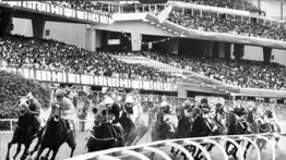 Los astros en el formulario: El día que el horóscopo dictó los números del 5y6 nacional