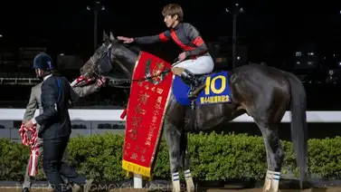 Diktaean nombrado Caballo del Año 2025 en Tokio Diktaean nombrado Caballo del Año 2025 en Tokio