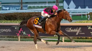 Tomen nota: Estas son las montas selectivas de Junior Alvarado el día de la Pegasus World Cup Tomen nota: Estas son las montas selectivas de Junior Alvarado el día de la Pegasus World Cup