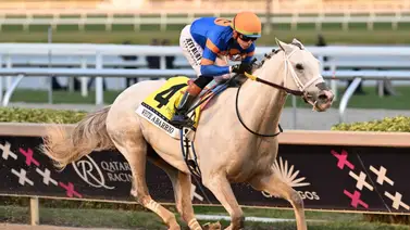 ¡La maquina al ataque! Irad Ortiz Jr. con "agenda llena" para el sábado de la Pegasus World Cup ¡La maquina al ataque! Irad Ortiz Jr. con "agenda llena" para el sábado de la Pegasus World Cup