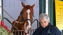 Sangre zuliana presente en el Pegasus World Cup Day