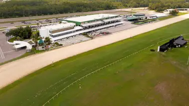 Pronósticos Tampa Bay Downs: picks gratis y el dato clave para el miércoles 21 de enero Pronósticos Tampa Bay Downs: picks gratis y el dato clave para el miércoles 21 de enero