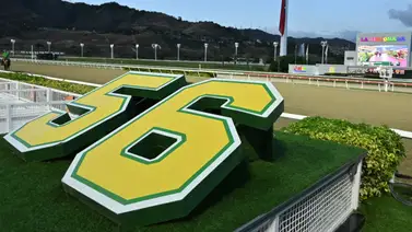 Presta atención: Se presenta el retiro de una de las yeguas favoritas para el 5y6 Nocturno Presta atención: Se presenta el retiro de una de las yeguas favoritas para el 5y6 Nocturno