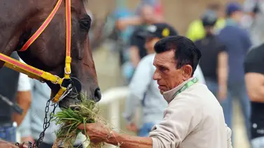 Optimismo en la cuadra de Luis Francisco Martín: "La conexión jinete y ejemplar es clave para ganar en La Rinconada” Optimismo en la cuadra de Luis Francisco Martín: "La conexión jinete y ejemplar es clave para ganar en La Rinconada”