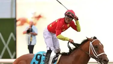 Tappan Street, el único caballo que ha logrado derrotar a Sovereignty, está preparado para dar la sorpresa en la Pegasus World Cup Tappan Street, el único caballo que ha logrado derrotar a Sovereignty, está preparado para dar la sorpresa en la Pegasus World Cup