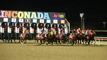 La Rinconada: Datos de Última Hora para el 23-01-2026 La Rinconada: Datos de Última Hora para el 23-01-2026