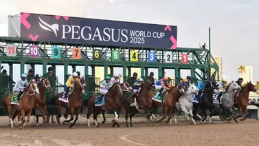 ¿A quién apostar? La tendencia histórica favorece a los ejemplares de esta edad en la Pegasus World Cup ¿A quién apostar? La tendencia histórica favorece a los ejemplares de esta edad en la Pegasus World Cup