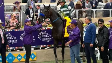 ¡Está listo para dar la sorpresa!: Este animal sureño podría ser el primer invasor en ganar la Pegasus World Cup Invitational (G1) ¡Está listo para dar la sorpresa!: Este animal sureño podría ser el primer invasor en ganar la Pegasus World Cup Invitational (G1)