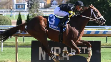 ¡No será fácil de vencer!: Esta yegua ganó con un rating de 109 y está lista para repetir en el Interborough Stakes en Aqueduct ¡No será fácil de vencer!: Esta yegua ganó con un rating de 109 y está lista para repetir en el Interborough Stakes en Aqueduct