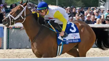 ¡Cuidado con este “As” de Joseph Jr.!: Skippylongstocking va por su cuarta participación en la Pegasus World Cup Invitational (G1) ¡Cuidado con este “As” de Joseph Jr.!: Skippylongstocking va por su cuarta participación en la Pegasus World Cup Invitational (G1)