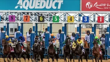 Pronósticos Aqueduct: picks gratis y el dato clave para el jueves 22 de enero Pronósticos Aqueduct: picks gratis y el dato clave para el jueves 22 de enero