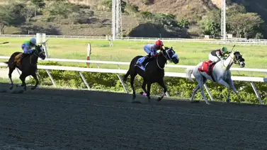 Atención: Con el ajuste de la gran opción de Gaceta Hípica podrá convertirse en la base clave para buscar victoria en el 5y6 de la R04 Atención: Con el ajuste de la gran opción de Gaceta Hípica podrá convertirse en la base clave para buscar victoria en el 5y6 de la R04