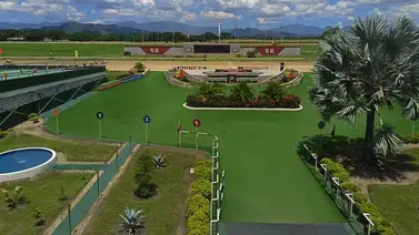 Datos de última hora para el Hipódromo Nacional de Valencia 24-1-2025 Datos de última hora para el Hipódromo Nacional de Valencia 24-1-2025